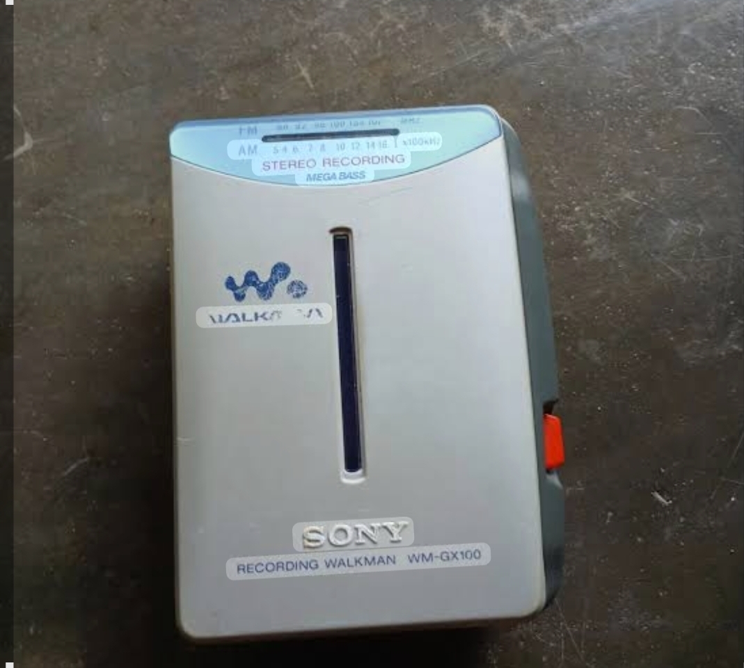 WALKMAN WM GX100 